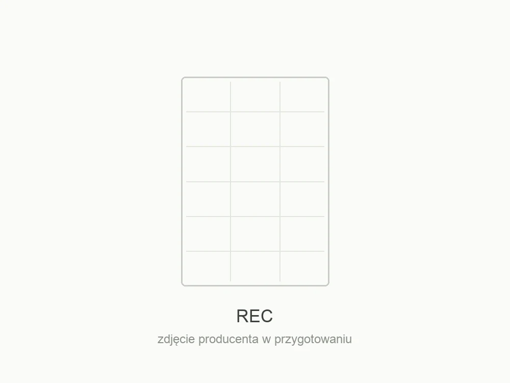 Moduł fotowoltaiczny REC