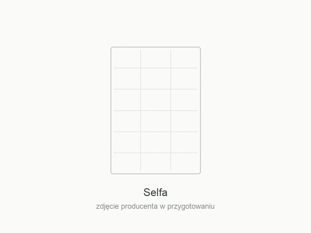 Moduł fotowoltaiczny Selfa